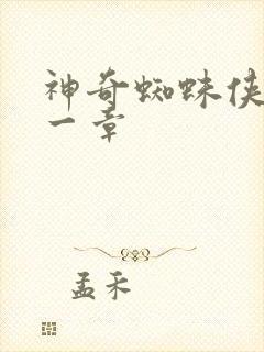 神奇蜘蛛侠第十一章