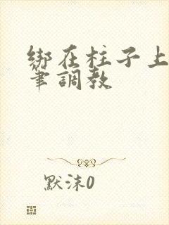 绑在柱子上用毛笔调教