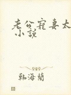 老公宠妻太甜蜜 小说