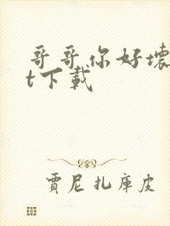 哥哥你好坏txt下载