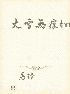 大雪无痕txt