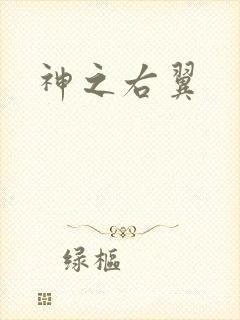 神之右翼