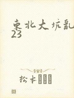 东北大坑乱1—23