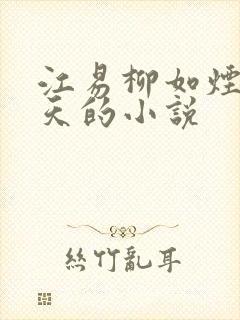 江易柳如烟秦少天的小说