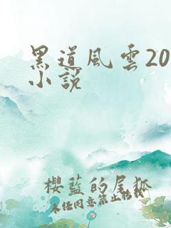 黑道风云20年小说