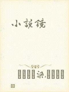 小说镜