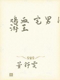 鸡血 宅男 网游王