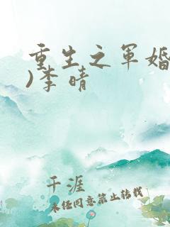 重生之军婚(h)李晴