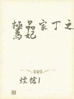 极品家丁之册母为妃