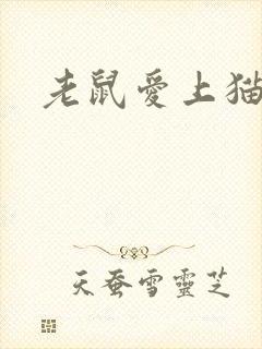 老鼠爱上猫下载