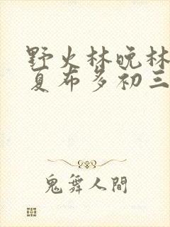 野火林晚林潮生夏布多初三边缘