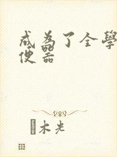 成为了全学校坐便器