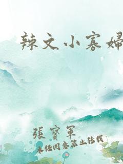 辣文小寡妇