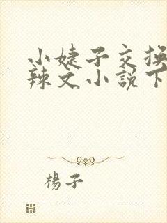 小婕子交换系列辣文小说下载