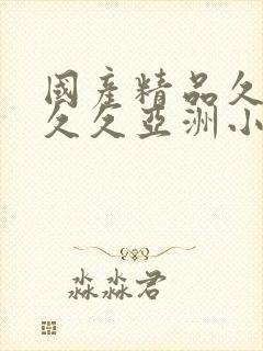 国产精品久久久久久亚洲小说