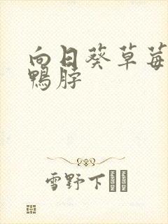 向日葵草莓丝瓜鸭脖