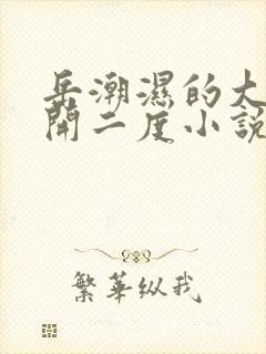 岳潮湿的大肥梅开二度小说