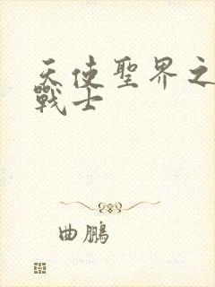 天使圣界之神之战士