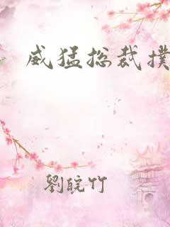 威猛总裁扑娇妻