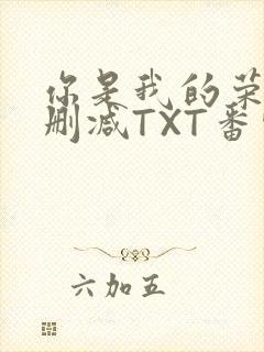 你是我的荣耀未删减TXT番外