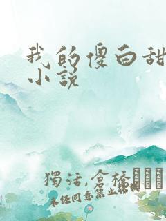 我的傻白甜老婆小说