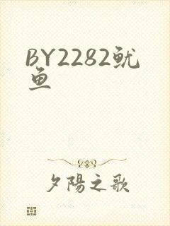 BY2282鱿鱼