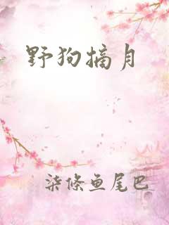 野狗摘月
