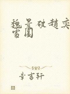 魏晨破赵奕欢的处图