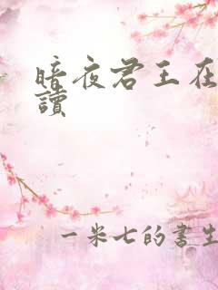 暗夜君王在线阅读
