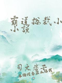 霸道总裁小娇妻小说