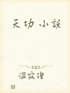 天功 小说