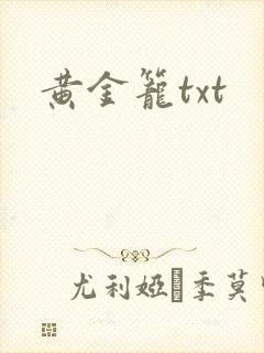 黄金笼txt