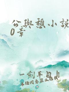 公与憩小说400章