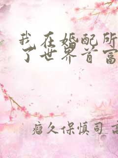 我在婚配所摇到了世界首富小说