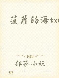 菠萝的海txt