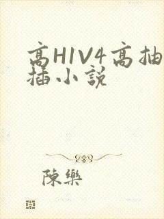高H1V4高抽插小说
