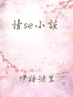 情se小说