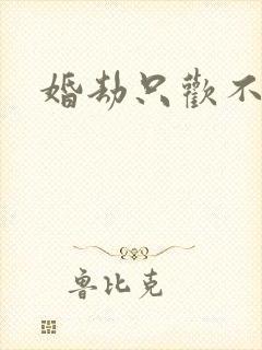 婚劫只欢不爱