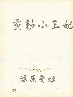灵动小王妃