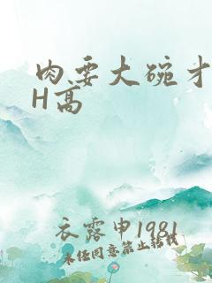 肉要大碗才好吃H高