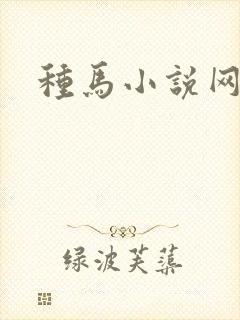 种马小说网