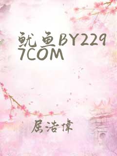鱿鱼BY2297COM