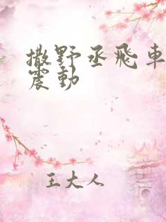 撒野丞飞车道具震动