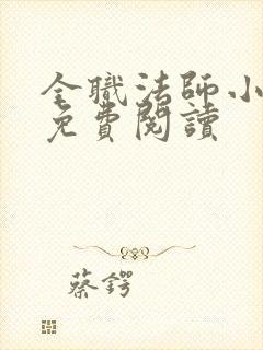 全职法师小说 免费阅读