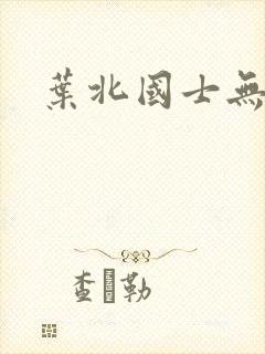 叶北国士无双