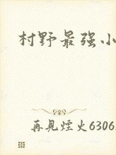 村野最强小农民