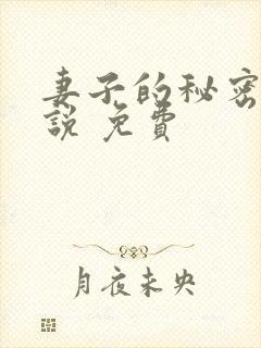 妻子的秘密 小说 免费