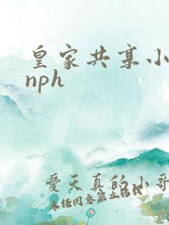 皇家共享小公主nph