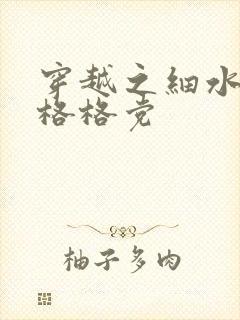 穿越之细水长流格格党