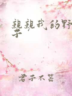 亲亲我的野猪王子